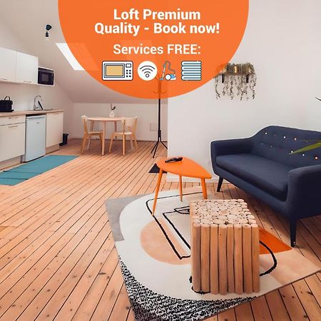 Loft Lumineux Tres Spacieux - Parking Gratuit Châteauroux Eksteriør billede