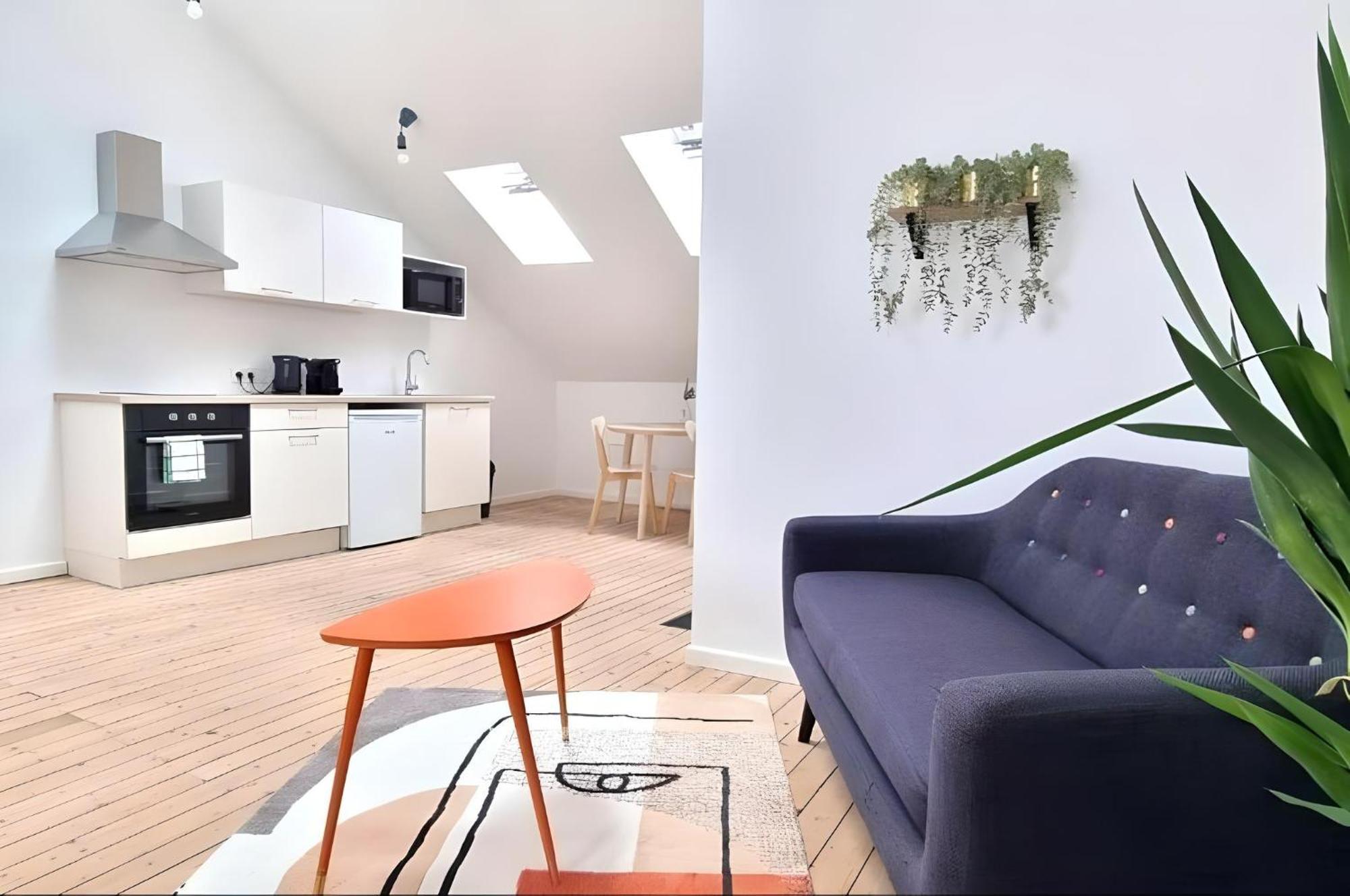 Loft Lumineux Tres Spacieux - Parking Gratuit Châteauroux Eksteriør billede